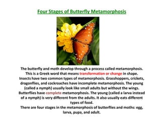 Four Stages of Butterfly Metamorphosis




 The butterfly and moth develop through a process called metamorphosis.
    This is a Greek word that means transformation or change in shape.
Insects have two common types of metamorphosis. Grasshoppers, crickets,
 dragonflies, and cockroaches have incomplete metamorphosis. The young
   (called a nymph) usually look like small adults but without the wings.
Butterflies have complete metamorphosis. The young (called a larva instead
 of a nymph) is very different from the adults. It also usually eats different
                                types of food.
 There are four stages in the metamorphosis of butterflies and moths: egg,
                            larva, pupa, and adult.
 
