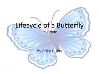 Lifecycle of a Butterfly
         1st Grade



       By Erica Dulny
 