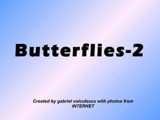 Butterflies-2 Created by gabriel voiculescu with photos from INTERNET 
