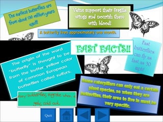 Quit A butterfly lives approximately one month.  