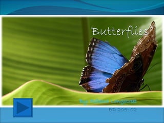 Butterflies Interactive Powerpoint | PPT