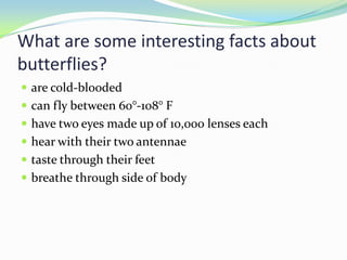 What are some interesting facts about
butterflies?
 are cold-blooded
 can fly between 60°-108° F
 have two eyes made up of 10,000 lenses each
 hear with their two antennae
 taste through their feet
 breathe through side of body
 