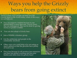 Ways you help the Grizzly
bears from going extinct
There is many ways people can help save the
Grizzly bears in the world today, some of the ways
we can help are:
 You can support a habitat because in one
habitat there is more then just Grizzly bears
that are endangered. This can be done by giving
money to protect wildlife.
 You can also adopt a Grizzly bear.
 Join a Wildlife volunteer group.
 Get the politicians and people in the
community involved.
 Other ways you could help is by not eating so
much salmon so that the grizzlies have plenty
of food to eat.
 Drive less because it will produce less emissions
and then less global warming and less pine
beetles and more trees for grizzly bears
 
