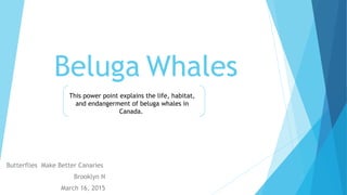 Beluga Whales
Butterflies Make Better Canaries
Brooklyn N
March 16, 2015
This power point explains the life, habitat,
and endangerment of beluga whales in
Canada.
 