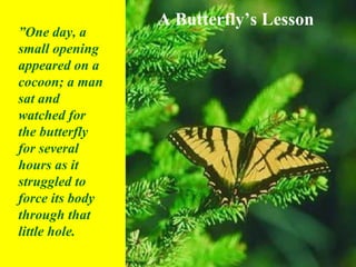 A Butterfly’s Lesson ” One day, a small opening appeared on a cocoon; a man sat and watched for the butterfly for several hours as it struggled to force its body through that little hole. 