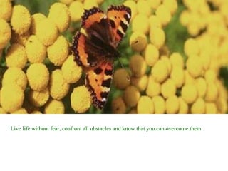 Live life without fear, confront all obstacles and know that you can overcome them. 