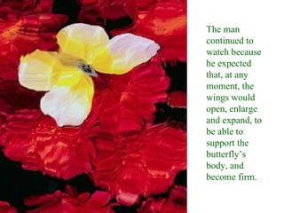 The man continued to watch because he expected that, at any moment, the wings would open, enlarge and expand, to be able to support the butterfly’s body, and become firm. 