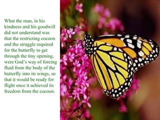 What the man, in his kindness and his goodwill did not understand was that the restricting cocoon and the struggle required for the butterfly to get through the tiny opening, were God’s way of forcing fluid from the body of the butterfly into its wings, so that it would be ready for flight once it achieved its freedom from the cocoon.  