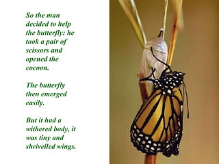 So the man decided to help the butterfly: he took a pair of scissors and opened the cocoon. The butterfly then emerged easily. But it had a withered body, it was tiny and shrivelled wings. 