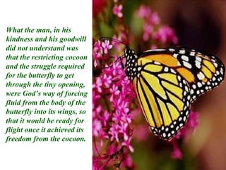 What the man, in his kindness and his goodwill did not understand was that the restricting cocoon and the struggle required for the butterfly to get through the tiny opening, were God’s way of forcing fluid from the body of the butterfly into its wings, so that it would be ready for flight once it achieved its freedom from the cocoon.  
