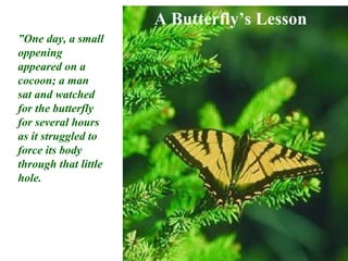A Butterfly’s Lesson ” One day, a small oppening appeared on a cocoon; a man sat and watched for the butterfly for several hours as it struggled to force its body through that little hole. 