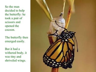 So the man
decided to help
the butterfly: he
took a pair of
scissors and
opened the
cocoon.

The butterfly then
emerged easily.

But it had a
withered body, it
was tiny and
shriveled wings.
 