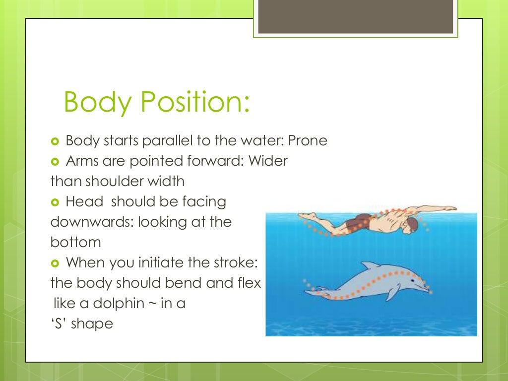 How to Swim Butterfly