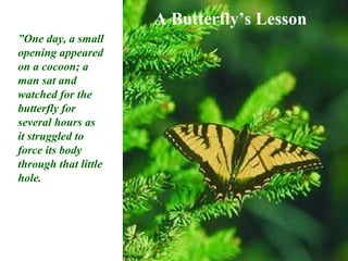A Butterfly’s Lesson
”One day, a small
opening appeared
on a cocoon; a
man sat and
watched for the
butterfly for
several hours as
it struggled to
force its body
through that little
hole.
 