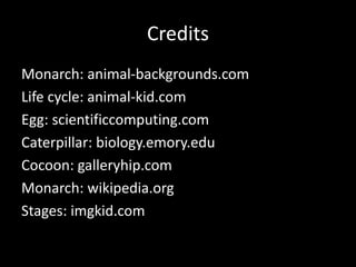 Credits
Monarch: animal-backgrounds.com
Life cycle: animal-kid.com
Egg: scientificcomputing.com
Caterpillar: biology.emory.edu
Cocoon: galleryhip.com
Monarch: wikipedia.org
Stages: imgkid.com
 