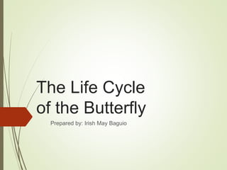 The Life Cycle
of the Butterfly
Prepared by: Irish May Baguio
 