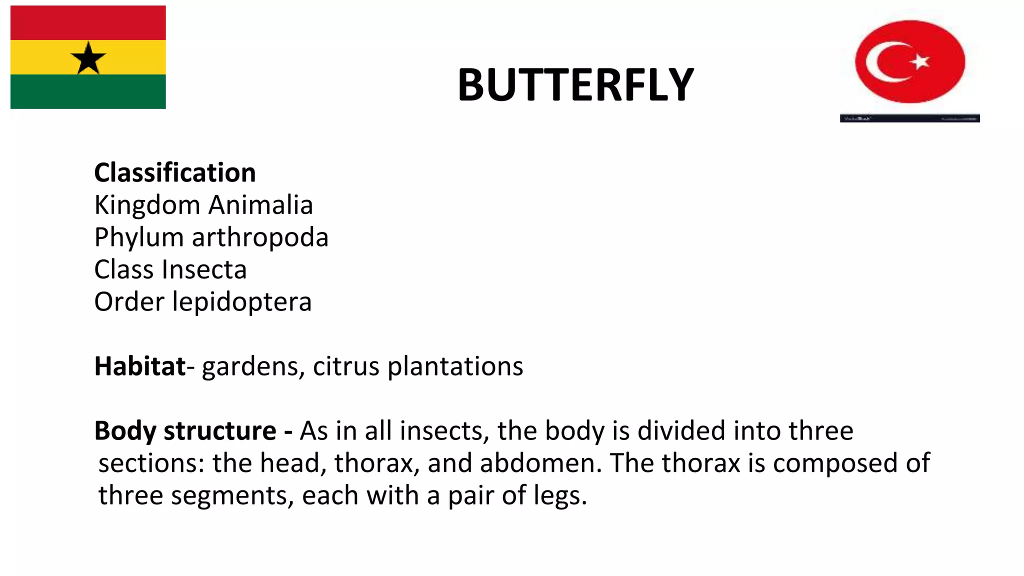 LIFE PROCESSES IN A BUTTERFLY | PPTX