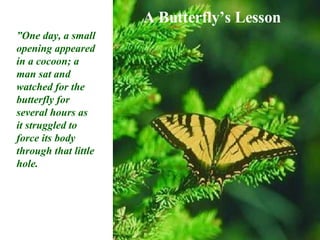 A Butterfly’s Lesson ” One day, a small opening appeared in a cocoon; a man sat and watched for the butterfly for several hours as it struggled to force its body through that little hole. 