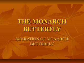 THE MONARCHTHE MONARCH
BUTTERFLYBUTTERFLY
MIGRATION OFMIGRATION OF MONARCHMONARCH
BUTTERFLYBUTTERFLY
 