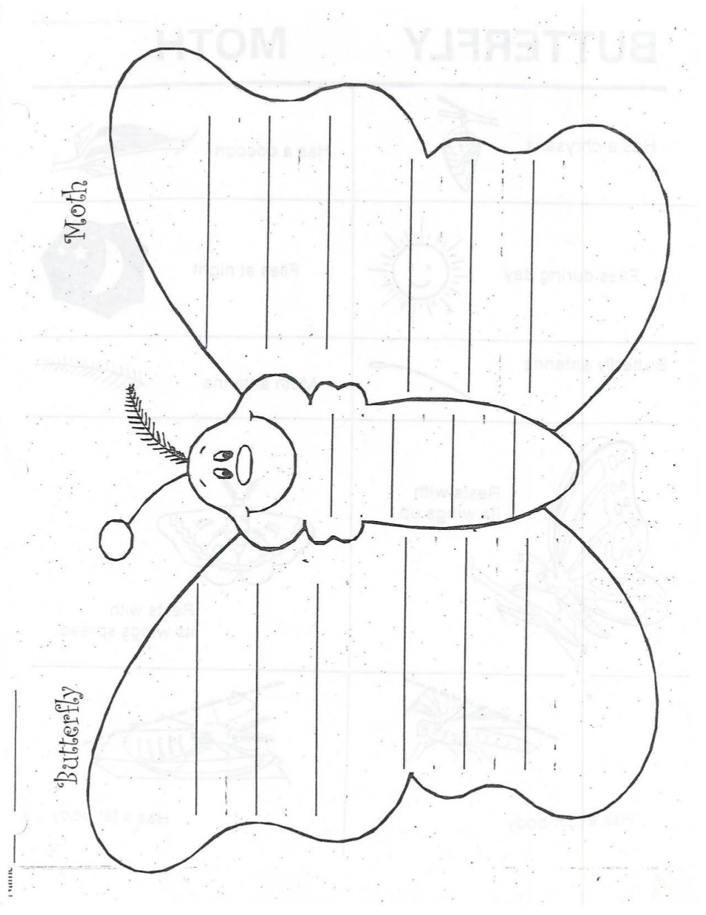 Butterfly moth venn diagram