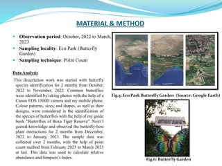 MATERIAL & METHOD
 Observation period: October, 2022 to March,
2023
 Sampling locality: Eco Park (Butterfly
Garden)
 Sampling technique: Point Count
Data Analysis
Fig.5: Eco Park Butterfly Garden (Source: Google Earth)
This dissertation work was started with butterfly
species identification for 2 months from October,
2022 to November, 2022. Common butterflies
were identified by taking photos with the help of a
Canon EOS 1500D camera and my mobile phone.
Colour patterns, sizes, and shapes, as well as their
designs, were considered in the identification of
the species of butterflies with the help of my guide
book "Butterflies of Buxa Tiger Reserve". Next I
gained knowledge and observed the butterfly-host
plant interactions for 2 months from December,
2022 to January, 2023. The sample data was
collected over 2 months, with the help of point
count method from February 2023 to March 2023
at last. This data was used to calculate relative
abundance and Simpson’s Index. Fig.6: Butterfly Garden
 