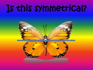 Butterfly Symmetry Power Point Presentation