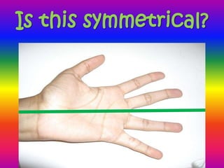 Butterfly Symmetry Power Point Presentation