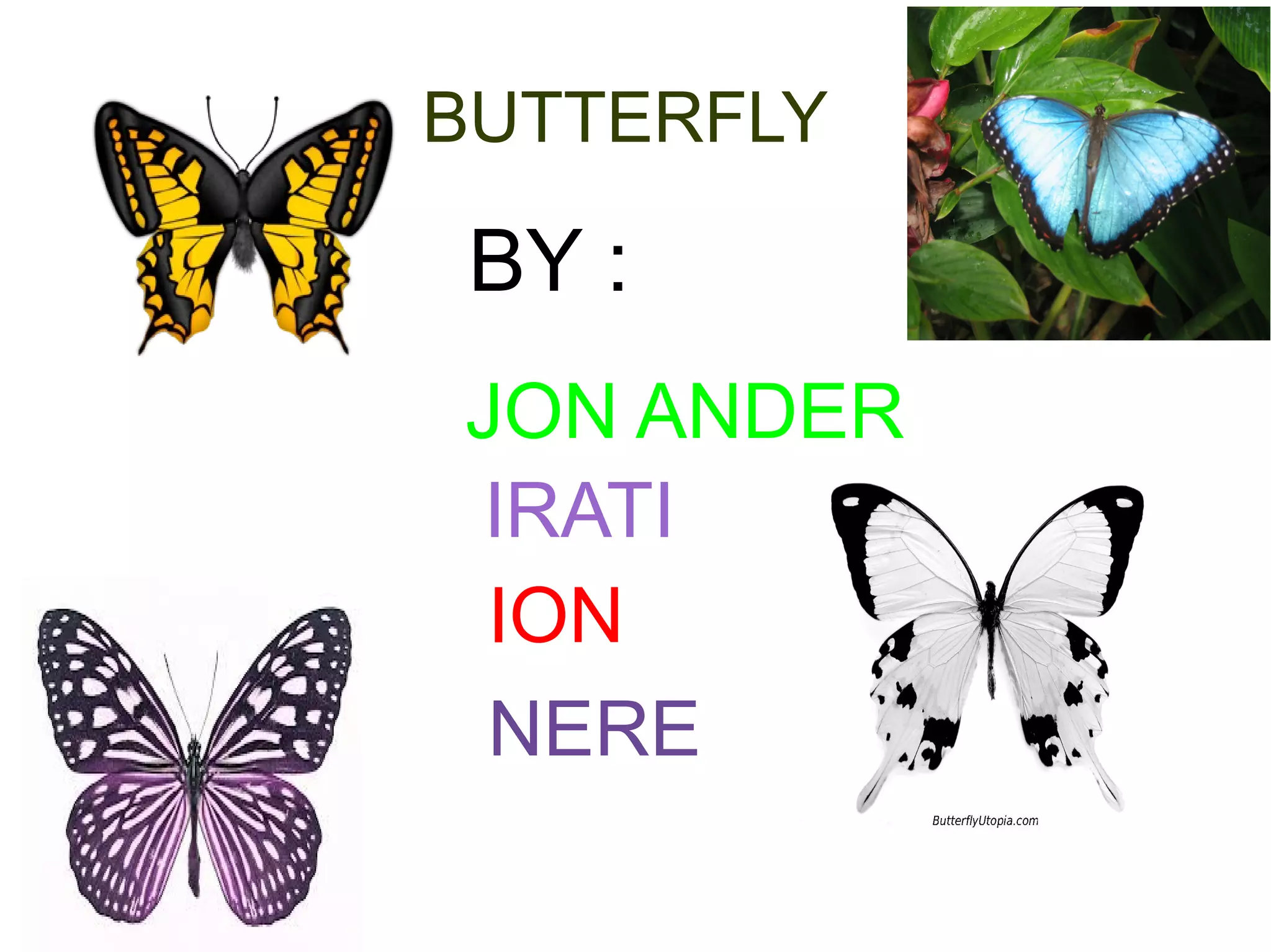 BUTTERFLY

 BY :
JON ANDER
IRATI
 ION
 NERE
 