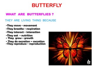 BUTTERFLY
WHAT ARE BUTTERFLIES ?
THEY ARE LIVING THING BECAUSE
-They move - movement
-They breathe - respiration
-They interact - interaction
-They eat - nutrition
- They grow - growth
- They do excretion – excretion
-They reproduce - reproduction
 