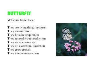 BUTTERFLY
What are butterflies?

They are living things because:
They eat-nutrition
They breathe-respiration
They reproduce-reproduction
  t
They move-movement
They do excretion- Excretion
They grow-growth
They interact-interaction
 