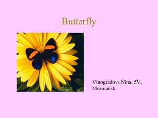 Butterfly




       Vinogradova Nina, 5V,
       Murmansk
 