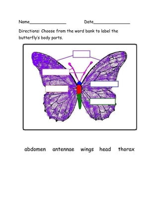 Name______________Date______________<br />19050607695Directions: Choose from the word bank to label the butterfly’s body parts.<br />abdomenantennaewingsheadthorax<br />