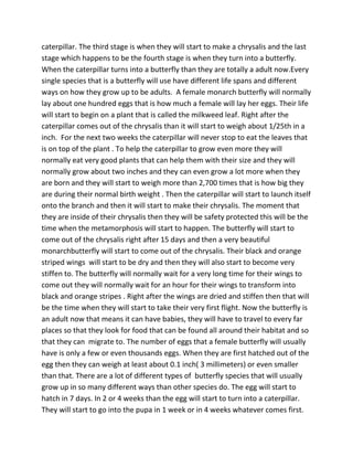 caterpillar. The third stage is when they will start to make a chrysalis and the last
stage which happens to be the fourth stage is when they turn into a butterfly.
When the caterpillar turns into a butterfly than they are totally a adult now.Every
single species that is a butterfly will use have different life spans and different
ways on how they grow up to be adults. A female monarch butterfly will normally
lay about one hundred eggs that is how much a female will lay her eggs. Their life
will start to begin on a plant that is called the milkweed leaf. Right after the
caterpillar comes out of the chrysalis than it will start to weigh about 1/25th in a
inch. For the next two weeks the caterpillar will never stop to eat the leaves that
is on top of the plant . To help the caterpillar to grow even more they will
normally eat very good plants that can help them with their size and they will
normally grow about two inches and they can even grow a lot more when they
are born and they will start to weigh more than 2,700 times that is how big they
are during their normal birth weight . Then the caterpillar will start to launch itself
onto the branch and then it will start to make their chrysalis. The moment that
they are inside of their chrysalis then they will be safety protected this will be the
time when the metamorphosis will start to happen. The butterfly will start to
come out of the chrysalis right after 15 days and then a very beautiful
monarchbutterfly will start to come out of the chrysalis. Their black and orange
striped wings will start to be dry and then they will also start to become very
stiffen to. The butterfly will normally wait for a very long time for their wings to
come out they will normally wait for an hour for their wings to transform into
black and orange stripes . Right after the wings are dried and stiffen then that will
be the time when they will start to take their very first flight. Now the butterfly is
an adult now that means it can have babies, they will have to travel to every far
places so that they look for food that can be found all around their habitat and so
that they can migrate to. The number of eggs that a female butterfly will usually
have is only a few or even thousands eggs. When they are first hatched out of the
egg then they can weigh at least about 0.1 inch( 3 millimeters) or even smaller
than that. There are a lot of different types of butterfly species that will usually
grow up in so many different ways than other species do. The egg will start to
hatch in 7 days. In 2 or 4 weeks than the egg will start to turn into a caterpillar.
They will start to go into the pupa in 1 week or in 4 weeks whatever comes first.
 