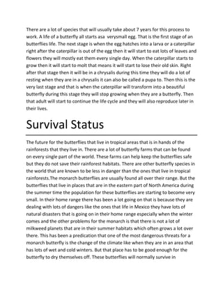 There are a lot of species that will usually take about 7 years for this process to
work. A life of a butterfly all starts asa verysmall egg. That is the first stage of an
butterflies life. The next stage is when the egg hatches into a larva or a caterpillar
right after the caterpillar is out of the egg then it will start to eat lots of leaves and
flowers they will mostly eat them every single day. When the caterpillar starts to
grow then it will start to molt that means it will start to lose their old skin. Right
after that stage then it will be in a chrysalis during this time they will do a lot of
resting when they are in a chrysalis it can also be called a pupa to. Then this is the
very last stage and that is when the caterpillar will transform into a beautiful
butterfly during this stage they will stop growing when they are a butterfly. Then
that adult will start to continue the life cycle and they will also reproduce later in
their lives.
Survival Status
The future for the butterflies that live in tropical areas that is in hands of the
rainforests that they live in. There are a lot of butterfly farms that can be found
on every single part of the world. These farms can help keep the butterflies safe
but they do not save their rainforest habitats. There are other butterfly species in
the world that are known to be less in danger than the ones that live in tropical
rainforests.The monarch butterflies are usually found all over their range. But the
butterflies that live in places that are in the eastern part of North America during
the summer time the population for these butterflies are starting to become very
small. In their home range there has been a lot going on that is because they are
dealing with lots of dangers like the ones that life in Mexico they have lots of
natural disasters that is going on in their home range especially when the winter
comes and the other problems for the monarch is that there is not a lot of
milkweed planets that are in their summer habitats which often grows a lot over
there. This has been a predication that one of the most dangerous threats for a
monarch butterfly is the change of the climate like when they are in an area that
has lots of wet and cold winters. But that place has to be good enough for the
butterfly to dry themselves off. These butterflies will normally survive in
 