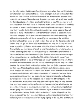 get the information that they get from the wind from when they are flying in the
air.Caterpillars have a maxilla that is a really small part that can be found on their
mouth and they canalso be found underneath the mandible this is where their
tastecells are located. These chemical detectors can easily tell which food is right
for them to eat and a food that is not right for them to eat. This is a type of tool
that helps them with their sense of smell and that is called the antennae and they
are known to be very small they can be located right next to the parts that are
near their mouths. Butterflies will use their antennae, palps, legs and they will
also use so many other different body parts that are known to be studded with
the sense receptors this is what they will use when they smell something. They
will use their sense of smell for so many different reasons and the activities
thatthey will use their sense of smell so that they can get the flower’s nectar and
so that they can get the other food that they eat. But they will usually use their
sense to smell to for flower nectar more often than the other food that they eat.
They will also use their sense of smell to help them to look for a mate to, when a
female is looking for a male she will usually try to smell out his pheromones. In
the butterflies feet they have sense organs that can help them to taste the sugar
of the nectar that they are looking for. This will let the butterfly know if that
foodis good for them to eat or if the food can be very bad for them to eat. There
aresome female butterflies that will like to taste host plants and they can taste it
by using the organs that is on their legs so that they can find a very good place to
lay their eggs. These bugs have receptors that are called chemoreceptors and
these receptor are located in the nerve cells that be found on the surface of their
body which will normally will react to these types of chemicals. We have these
same receptors to and they are located in our nose and it can also be found on
our tongue to. These are the receptors are all located in different parts of the
butterflies body. Caterpillars have very good hearing and they can help them to
hear very loud sounds and butterflies do not have ears to hear what is going on
around them instead of hearing with their ears they will use their wings to hear
what is going on in their area. There is another organ that can be found on the
butterflies antennae and that is called the Johnston’s organ. They will use this
organ to control how they keep their balance and their orientation in check. They
will totally will need this when they are flying high up in the sky. This is other way
 