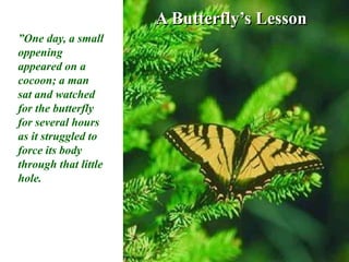 A Butterfly’s Lesson ”One day, a small oppening appeared on a cocoon; a man sat and watched for the butterfly for several hours as it struggled to force its body through that little hole. 