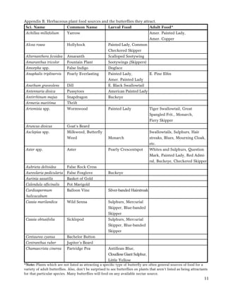 11
Appendix B. Herbaceous plant food sources and the butterﬂies they attract.
Sci. Name Common Name Larval Food Adult Food*
Achillea millefolium Yarrow Amer. Painted Lady,
Amer. Copper
Alcea rosea Hollyhock Painted Lady, Common
Checkered Skipper
Alternanthera ﬁcoidea Amaranth Scalloped Sootywing
Amaranthus tricolor Fountain Plant Sootywings (Skippers)
Amorpha spp. False Indigo Dogface
Anaphalis triplinervis Pearly Everlasting Painted Lady, E. Pine Elﬁn
Amer. Painted Lady
Anethum graveolens Dill E. Black Swallowtail
Antennaria dioica Pussytoes American Painted Lady
Antirrhinum majus Snapdragon Buckeye
Armeria maritima Thrift
Artemisia spp. Wormwood Painted Lady Tiger Swallowtail, Great
Spangled Frit., Monarch,
Fiery Skipper
Aruncus dioicus Goat’s Beard
Asclepias spp. Milkweed, Butterﬂy Swallowtails, Sulphurs, Hair
Weed Monarch streaks, Blues, Mourning Cloak,
etc.
Aster spp. Aster Pearly Crescentspot Whites and Sulphurs, Question
Mark, Painted Lady, Red Admi-
ral, Buckeye, Checkered Skipper
Aubrieta deltoidea False Rock Cress
Aureolaria pedicularia False Foxglove Buckeye
Aurinia saxatilis Basket of Gold
Calendula ofﬁcinalis Pot Marigold
Cardiospermum Balloon Vine Silver-banded Hairstreak
halicacabum
Cassia marilandica Wild Senna Sulphurs, Mercurial
Skipper, Blue-banded
Skipper
Cassia obtusifolia Sicklepod Sulphurs, Mercurial
Skipper, Blue-banded
Skipper
Centaurea cyanus Bachelor Button
Centranthus ruber Jupiter’s Beard
Chamaecrista cinerea Partridge Pea Antillean Blue,
Cloudless Giant Sulphur,
Little Yellow
*Note: Plants which are not listed as attracting a speciﬁc type of butterﬂy are often general sources of food for a
variety of adult butterﬂies. Also, don’t be surprised to see butterﬂies on plants that aren’t listed as being attractants
for that particular species. Many butterﬂies will feed on any available nectar source.
 