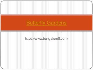 https://www.bangalore5.com/
Butterfly Gardens
 