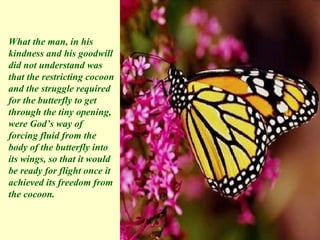 What the man, in his kindness and his goodwill did not understand was that the restricting cocoon and the struggle required for the butterfly to get through the tiny opening, were God’s way of forcing fluid from the body of the butterfly into its wings, so that it would be ready for flight once it achieved its freedom from the cocoon.  