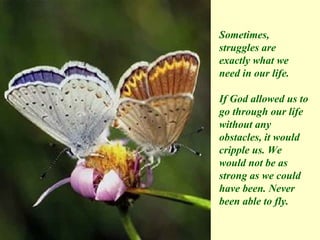 Sometimes, struggles are exactly what we need in our life. If God allowed us to go through our life  without any obstacles, it would  cripple us. We would not be as strong as we could have been. Never been able to fly. 