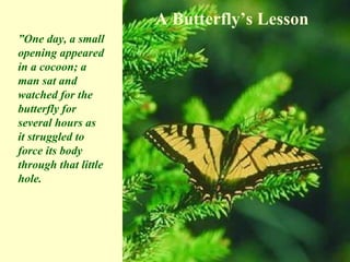 A Butterfly’s Lesson ” One day, a small opening appeared in a cocoon; a man sat and watched for the butterfly for several hours as it struggled to force its body through that little hole. 