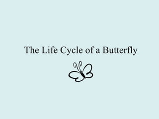 The Life Cycle of a Butterfly
 