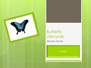 Butterfly
Lifecycle
Review Game
Begin!
 