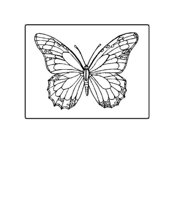 butterfly outline