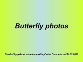 Butterfly photos Created by gabriel voiculescu with photos from Internet/31.03.2010 