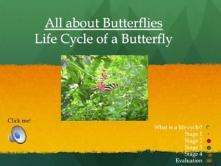 All about Butterflies
            Life Cycle of a Butterfly




Click me!
                                 What is a life cycle?
                                               Stage 1
                                               Stage 2
                                               Stage 3
                                               Stage 4
                                         Evaluation
 