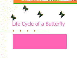 Life Cycle of a Butterfly 
