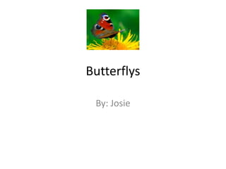 Butterflys

 By: Josie
 