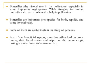  Butterflies play pivotal role in the pollination, especially in
some important angiosperms. While foraging for nectar,
butterflies also carry pollens that help in pollination.
 Butterflies are important prey species for birds, reptiles, and
some invertebrates.
 Some of them are useful tools in the study of genetics.
 Apart from beneficial aspects, some butterflies feed on crops
during their larval stages and wipe out the entire crops,
posing a severe threat to human welfare.
 