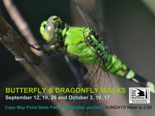 Cape May Point State Park East Shelter pavilion SUNDAYS Noon to 2:00
BUTTERFLY & DRAGONFLY WALKS
September 12, 19, 26 and October 3, 10, 17
 